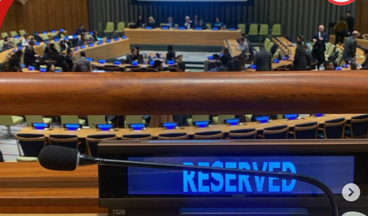 WSF participa do Fórum de Parceria do ECOSOC na sede da ONU em Nova York