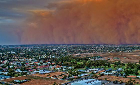 Tempestades de areia se intensificam e desafiam saúde pública e economia