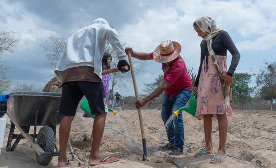 Calor mortal: Relatório aponta alta vulnerabilidade de trabalhadores na Colômbia