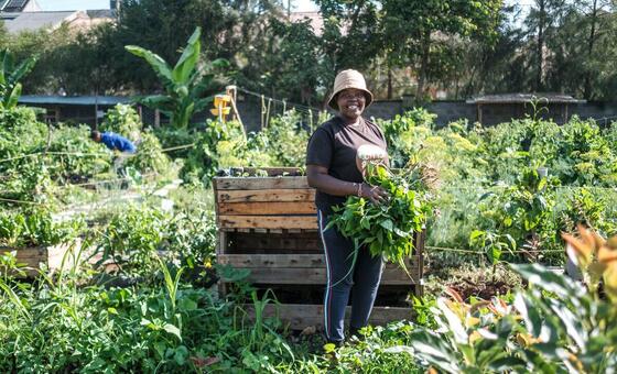 Horticultura global cresce, mas falha em nutrir populações