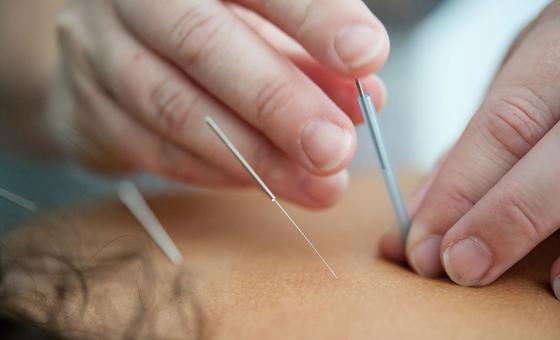 Medicina Tradicional Africana: OMS debate integração e sabedoria ancestral na saúde