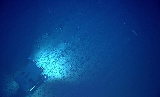 Brasileira à frente de agência global quer desvendar mais o fundo dos oceanos