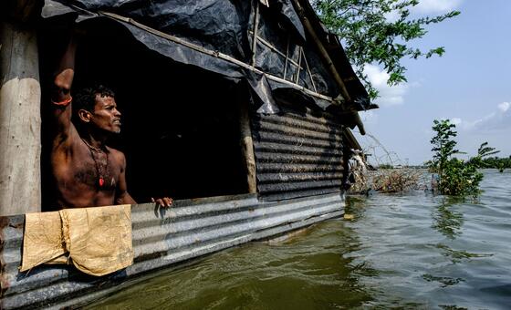 Entenda: 5 ameaças existenciais causadas pelo aumento do nível do mar