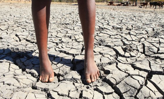 Ameaça de super El Niño leva ONU a adotar nova estratégia para salvar milhões
