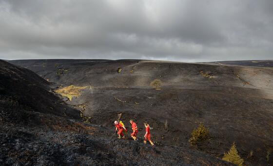 Comissão da ONU na Europa lança guia para combater calor extremo