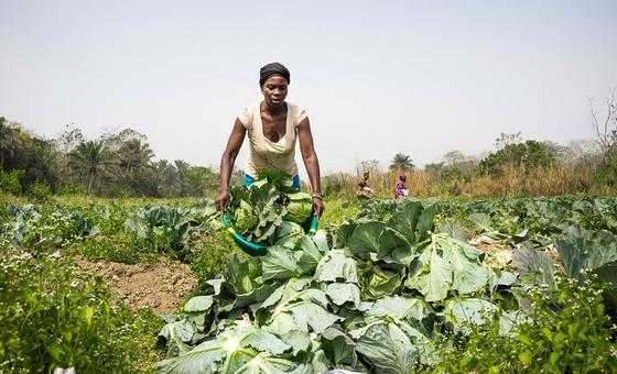 Brasileiras e angolana entre as 100 mulheres que transformam agricultura